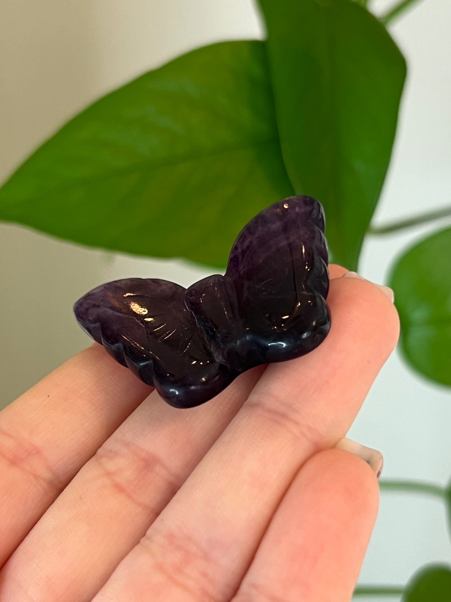 Purple Fluorite Butterfly