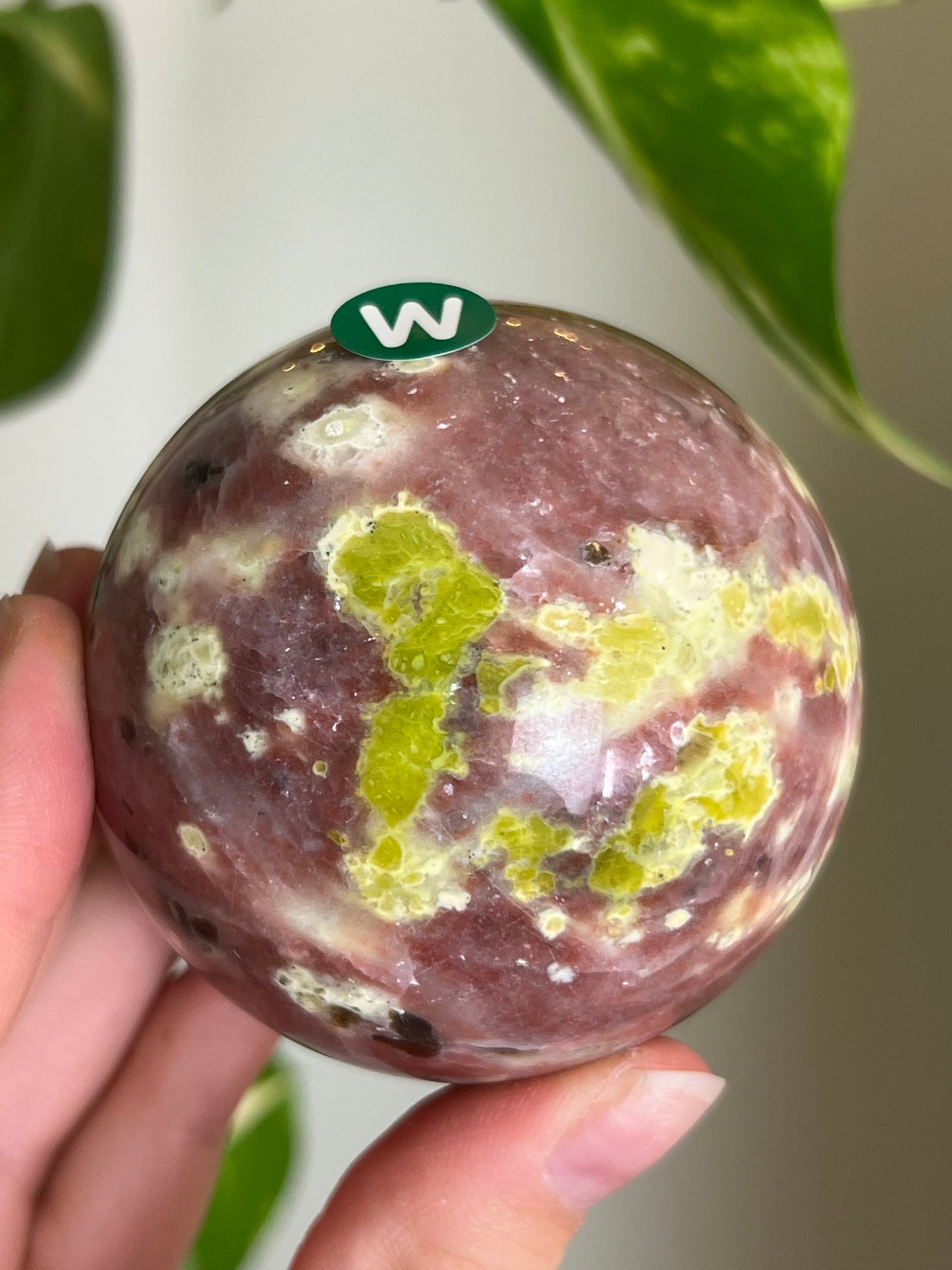 Plum Blossom Tourmaline x Serpentine Large Sphere - W