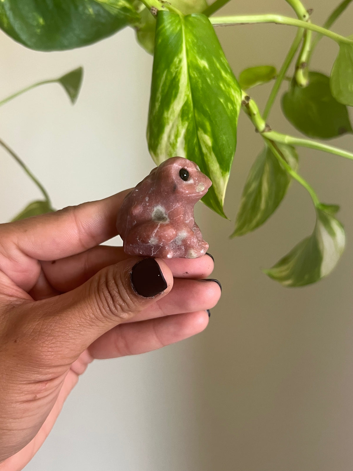 Plum Blossom Tourmaline x Serpentine Frog