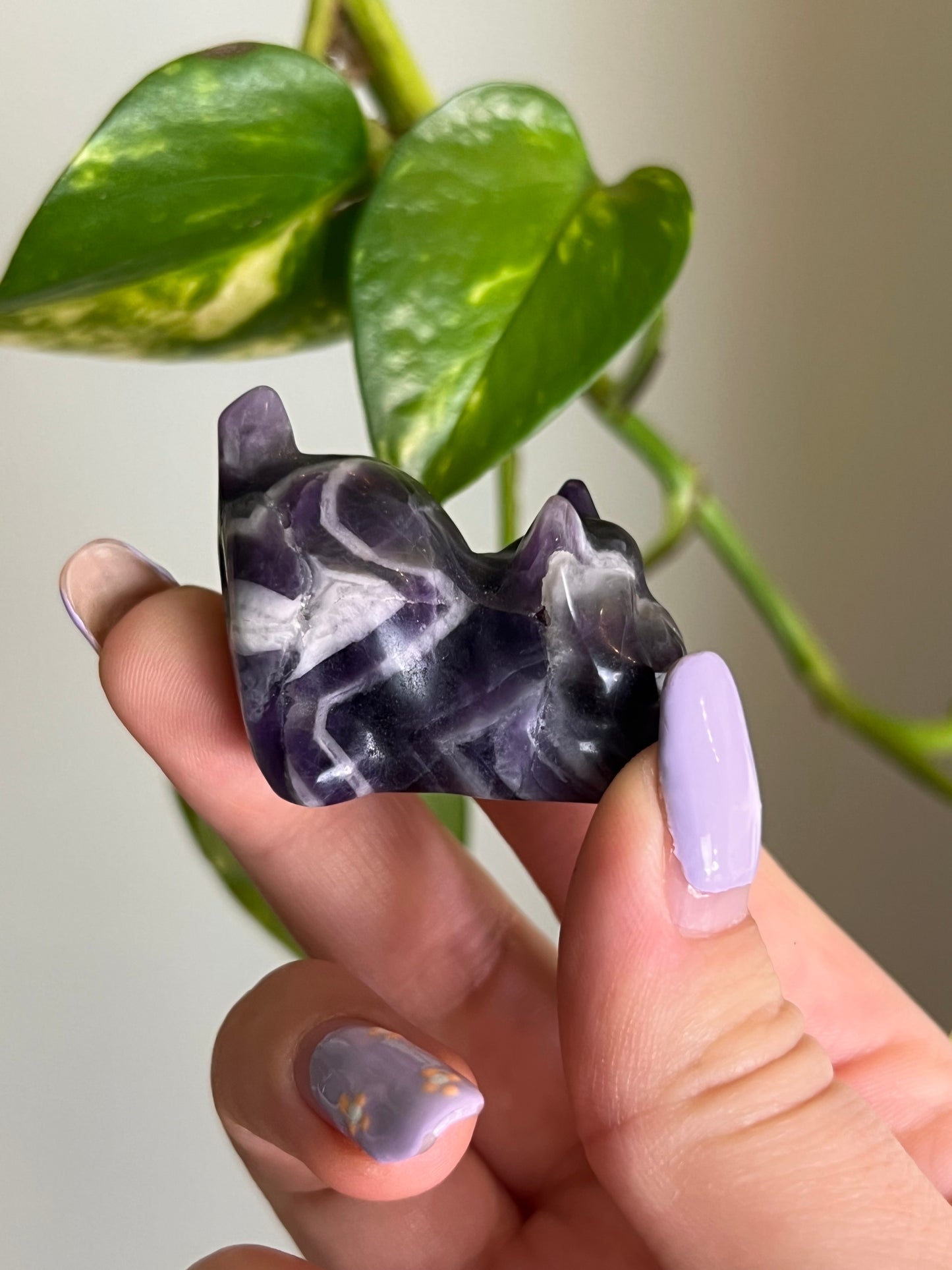 Dream Amethyst Playful Cat