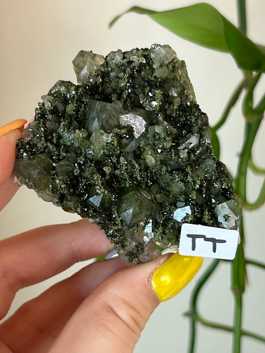 Forest Epidote Quartz Cluster - TT