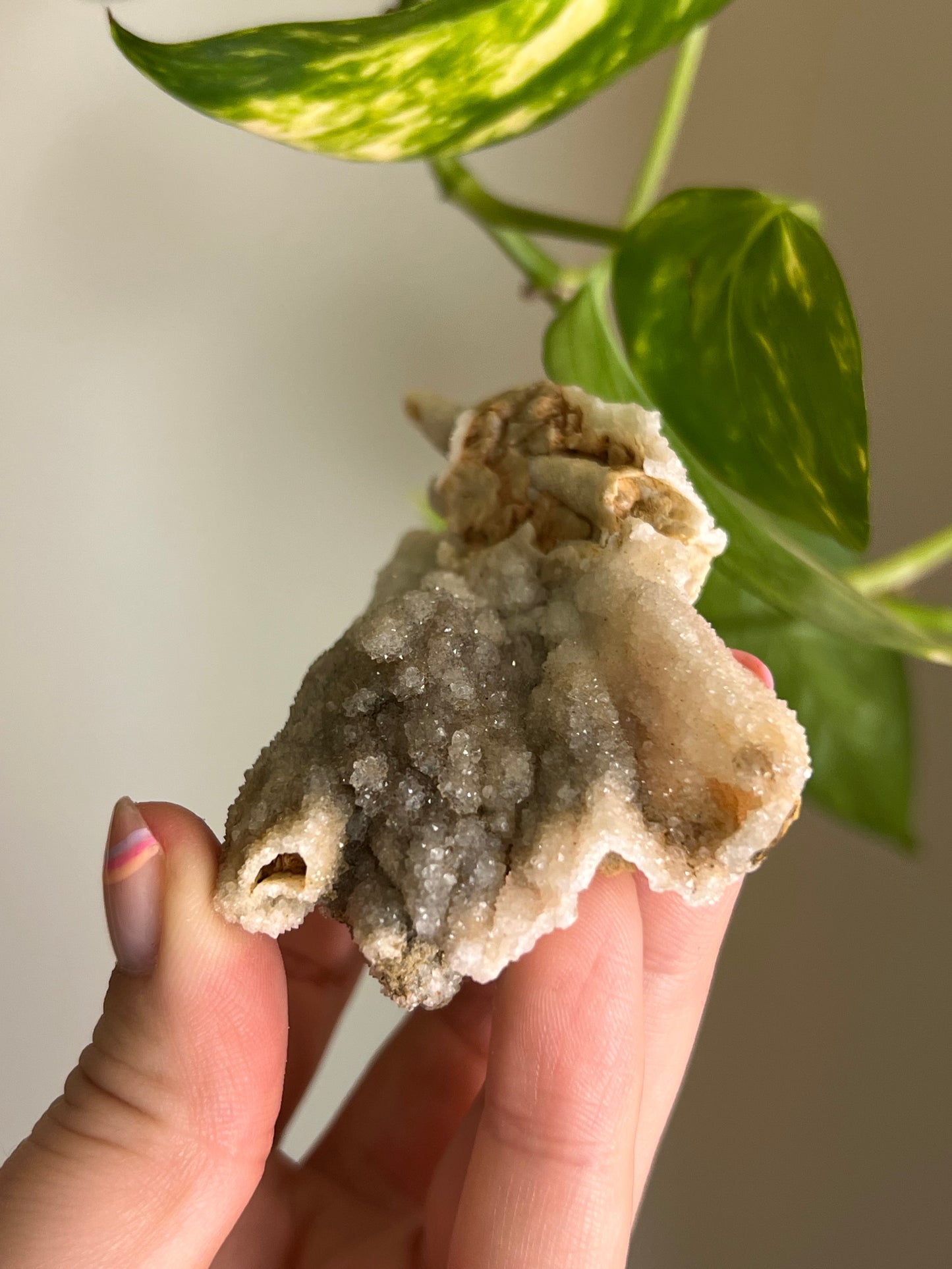 Druzy Calcite Pseudomorph - X