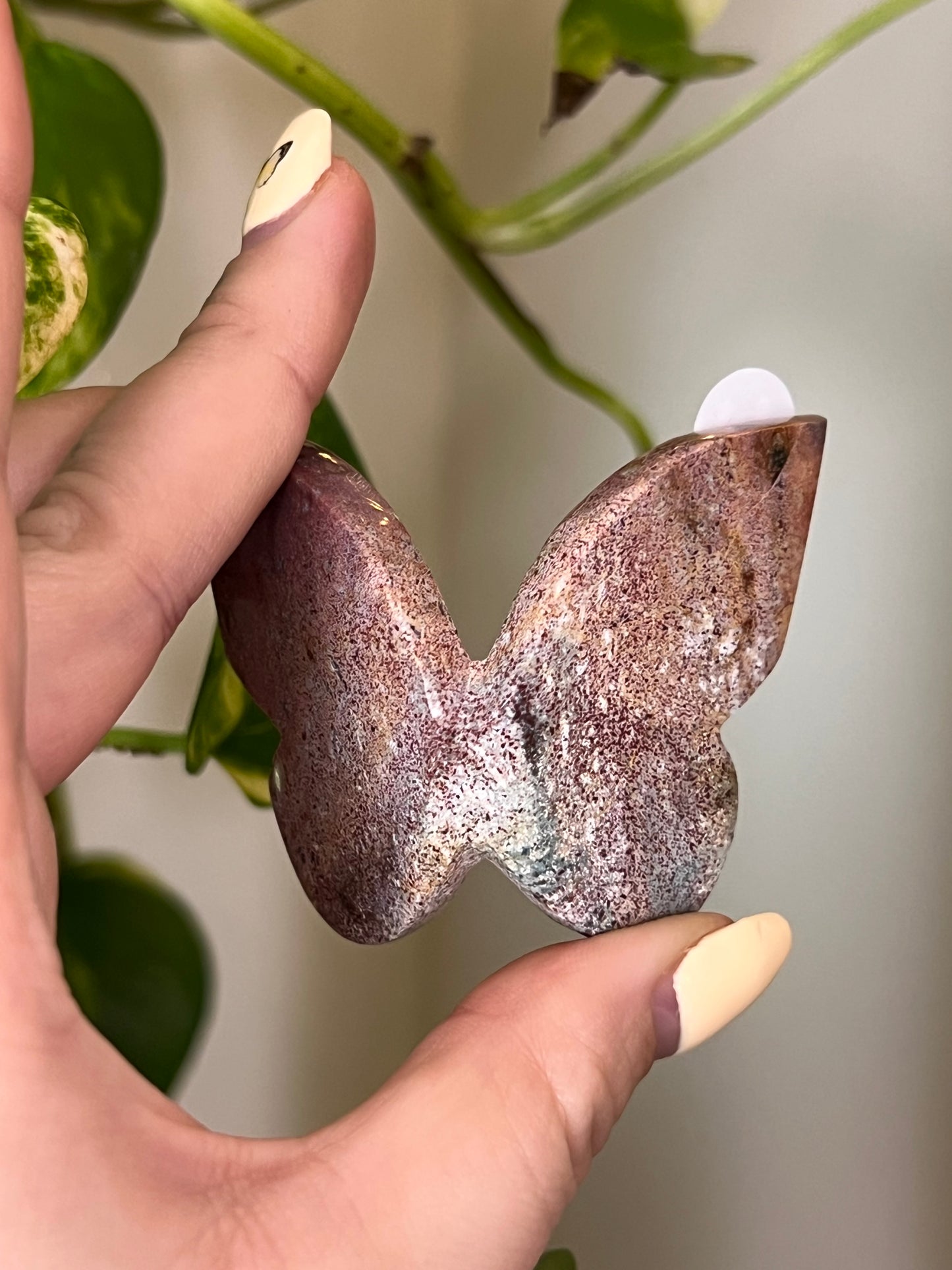 Ocean Jasper 3D Butterfly - H