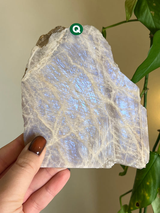Flashy Moonstone Slab - Q