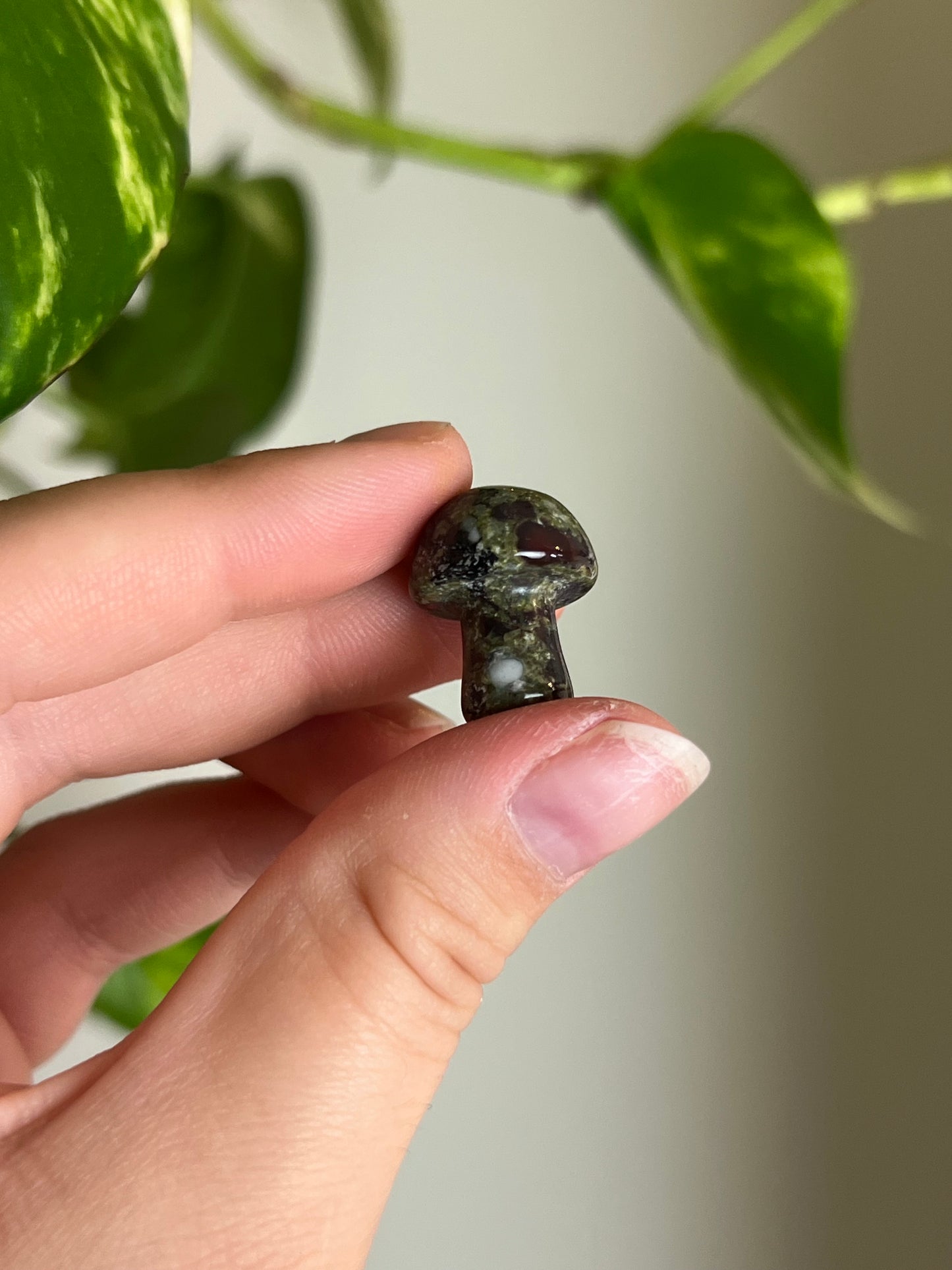 Dragons Blood Jasper Mini Mushie