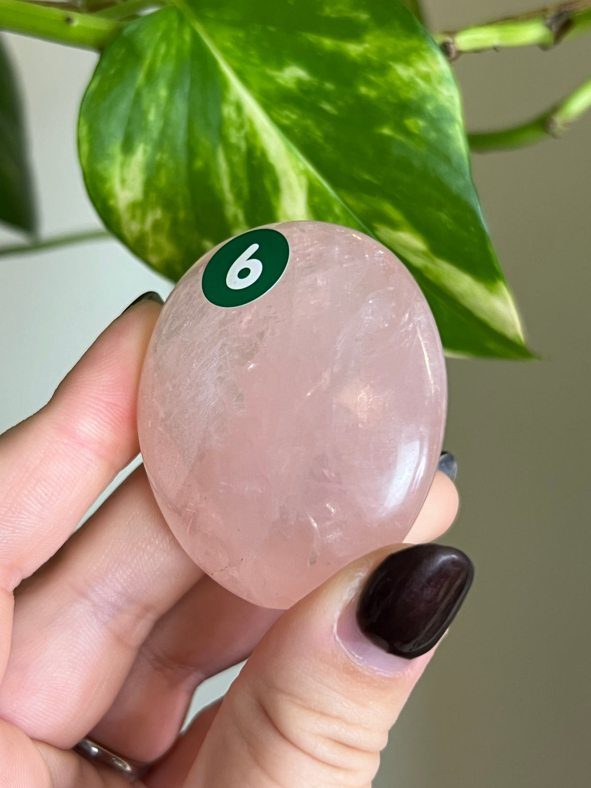 Rose Quartz Palm Stone - 6