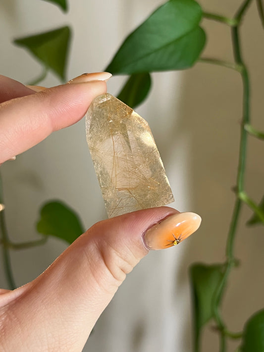 Golden Rutile Quartz Gusher - X