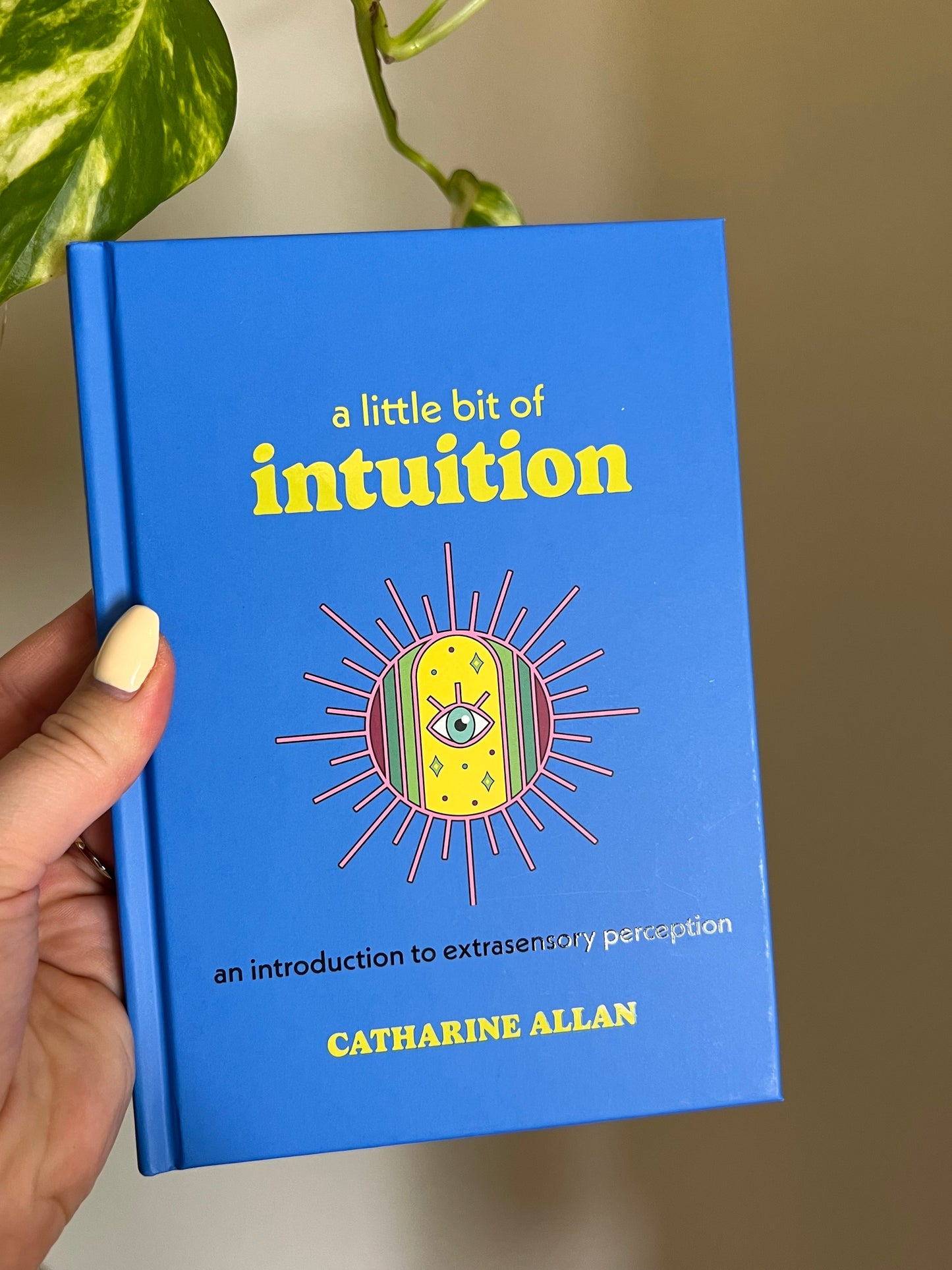 A Little Bit of Intuition Book