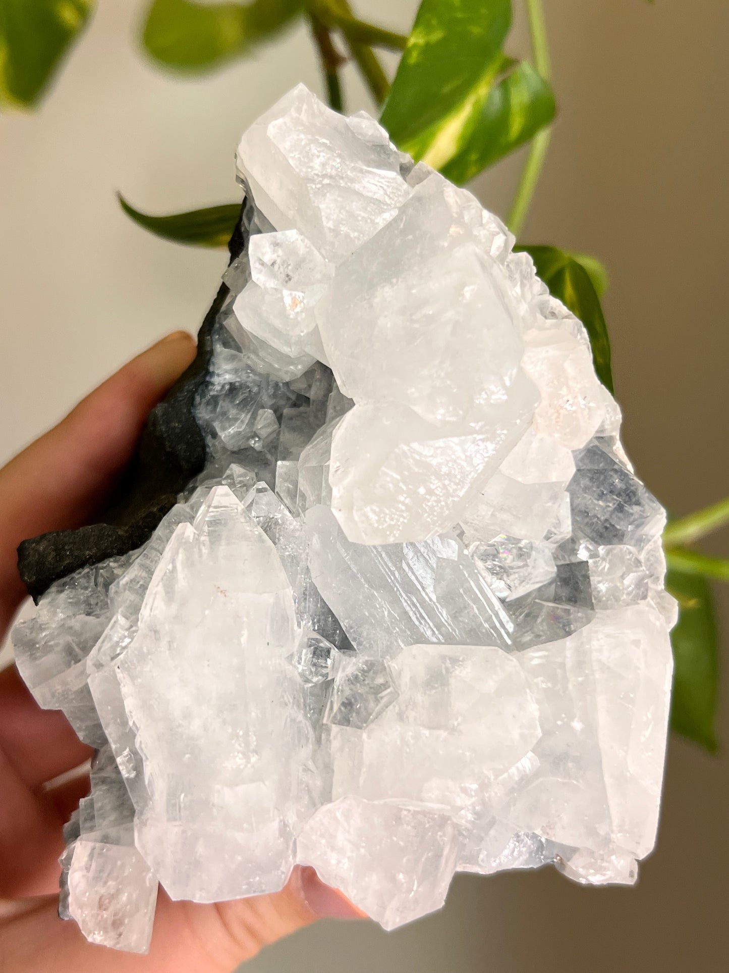 Apophyllite Cluster - H