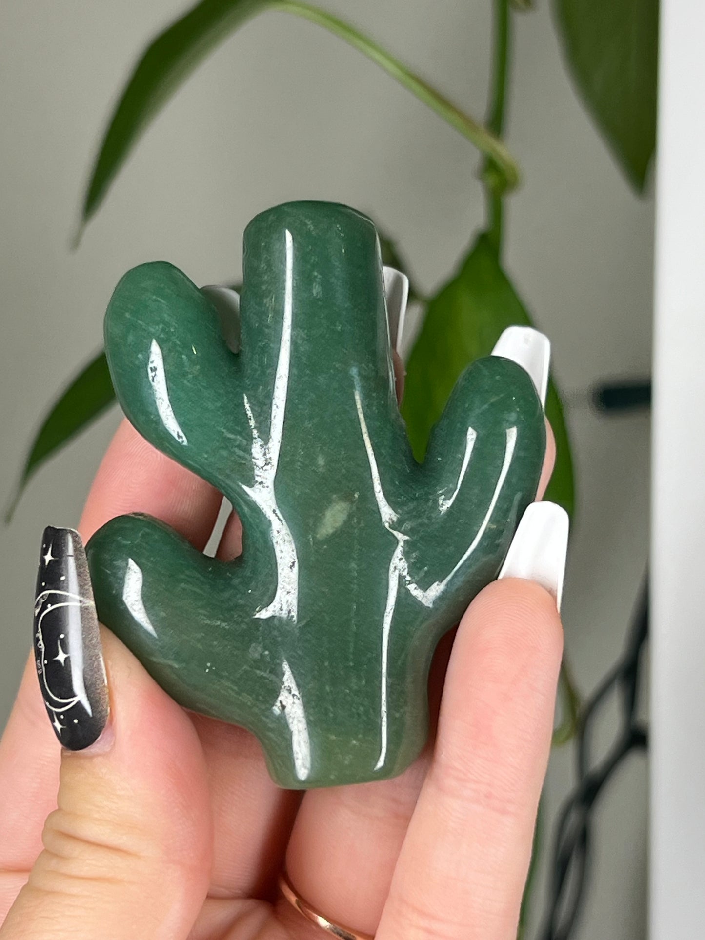 Green Aventurine Cactus Plant