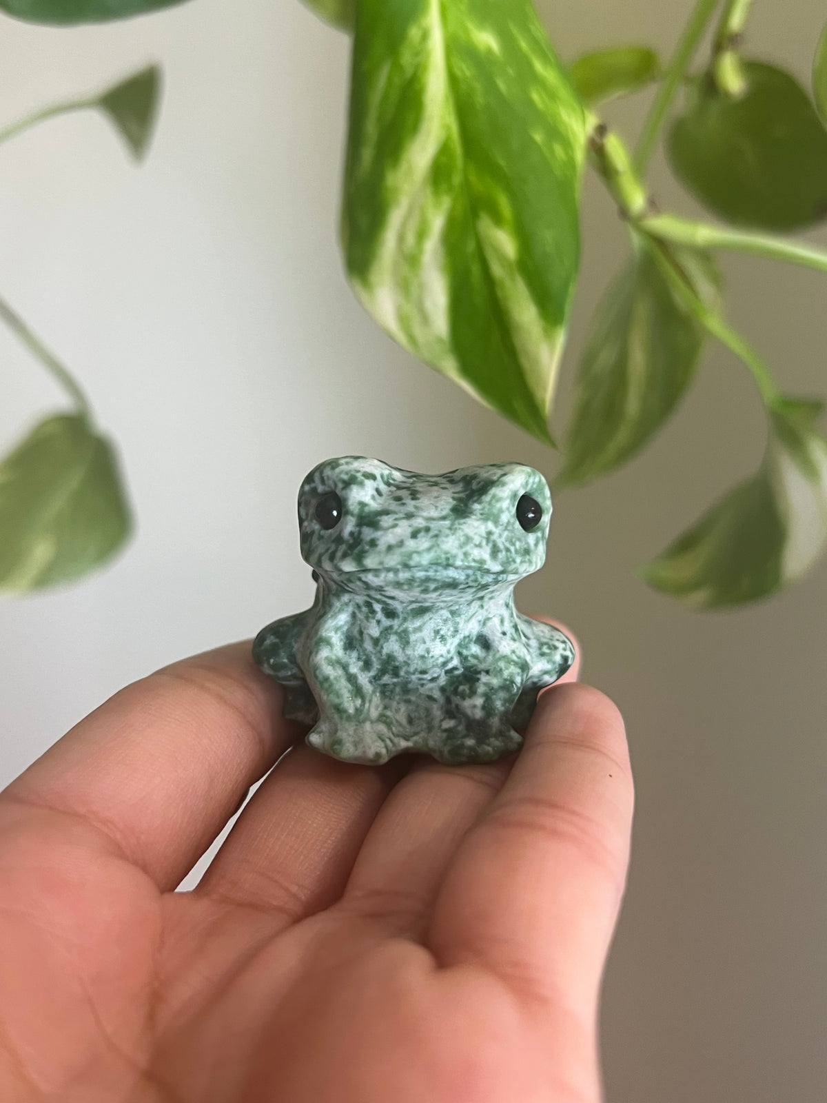 Green Spot Jasper Frog