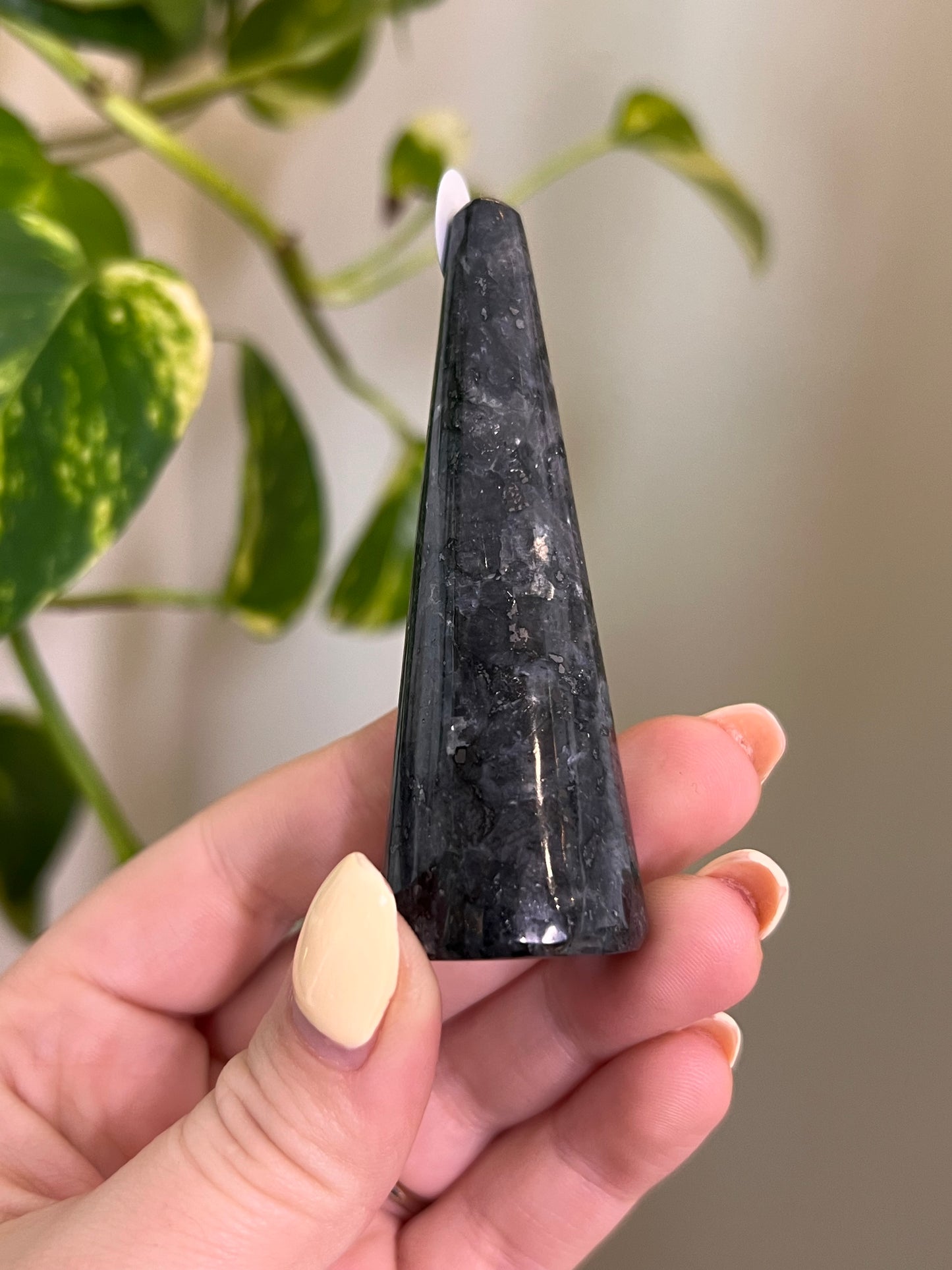 Flashy Larvikite Ring Holder - 1