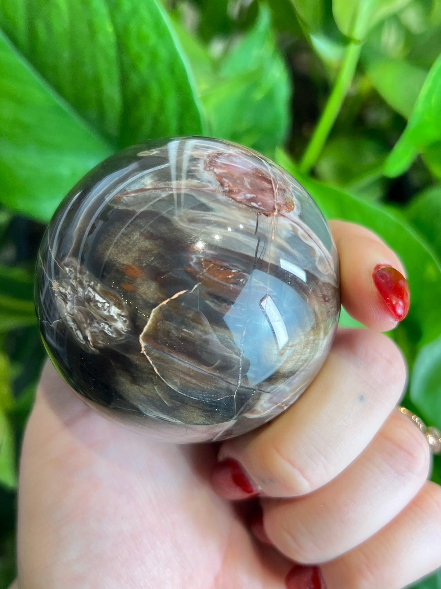 Petrified Wood Sphere - S