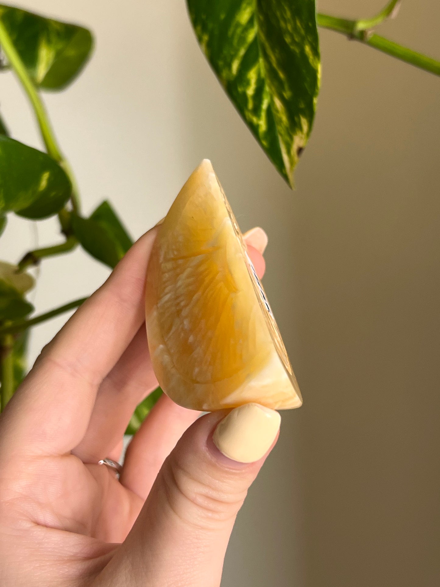 Orange Calcite Fruit Slice 🍊