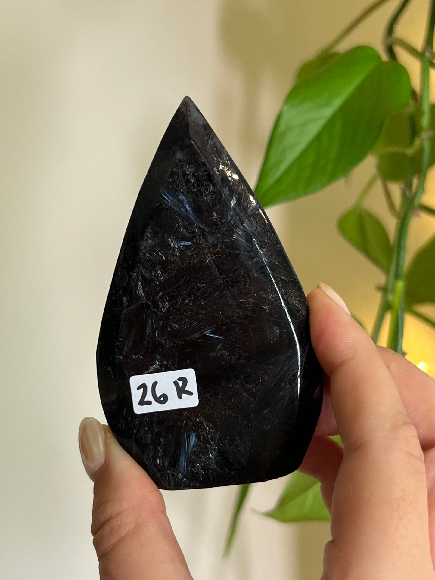 Astrophyllite on Matrix Freeform - R