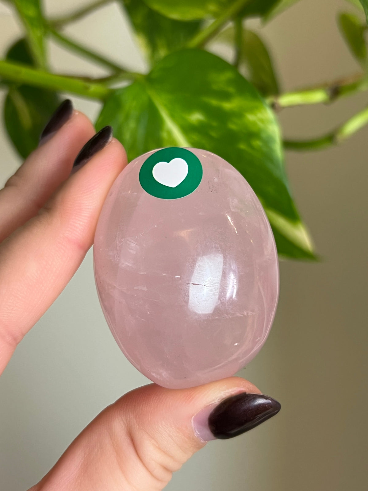Rose Quartz Palm Stone - 🩷