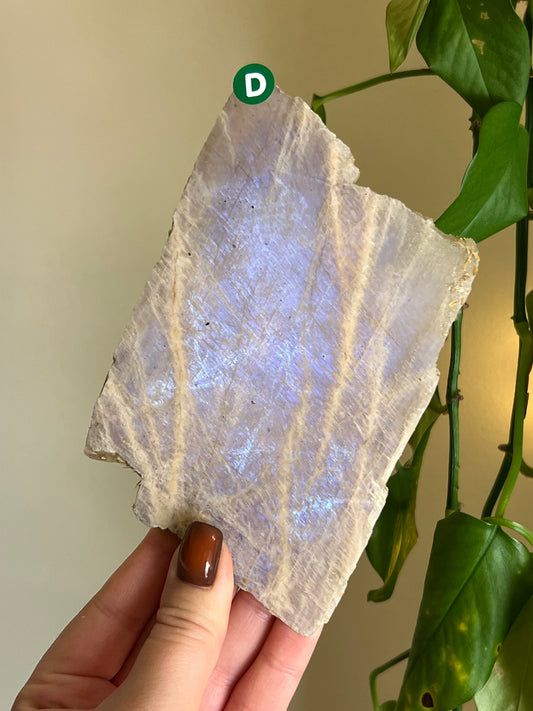 Flashy Moonstone Slab - D