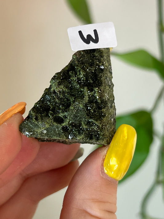 Forest Epidote Quartz Cluster - W