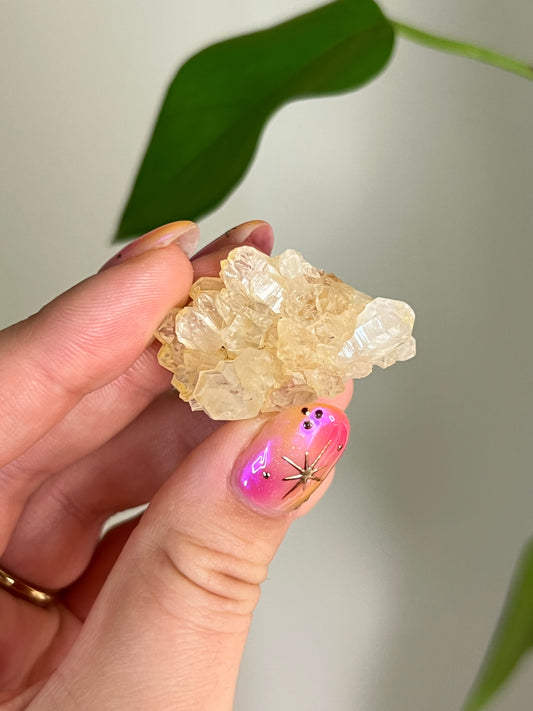 Mini Limonite Cluster