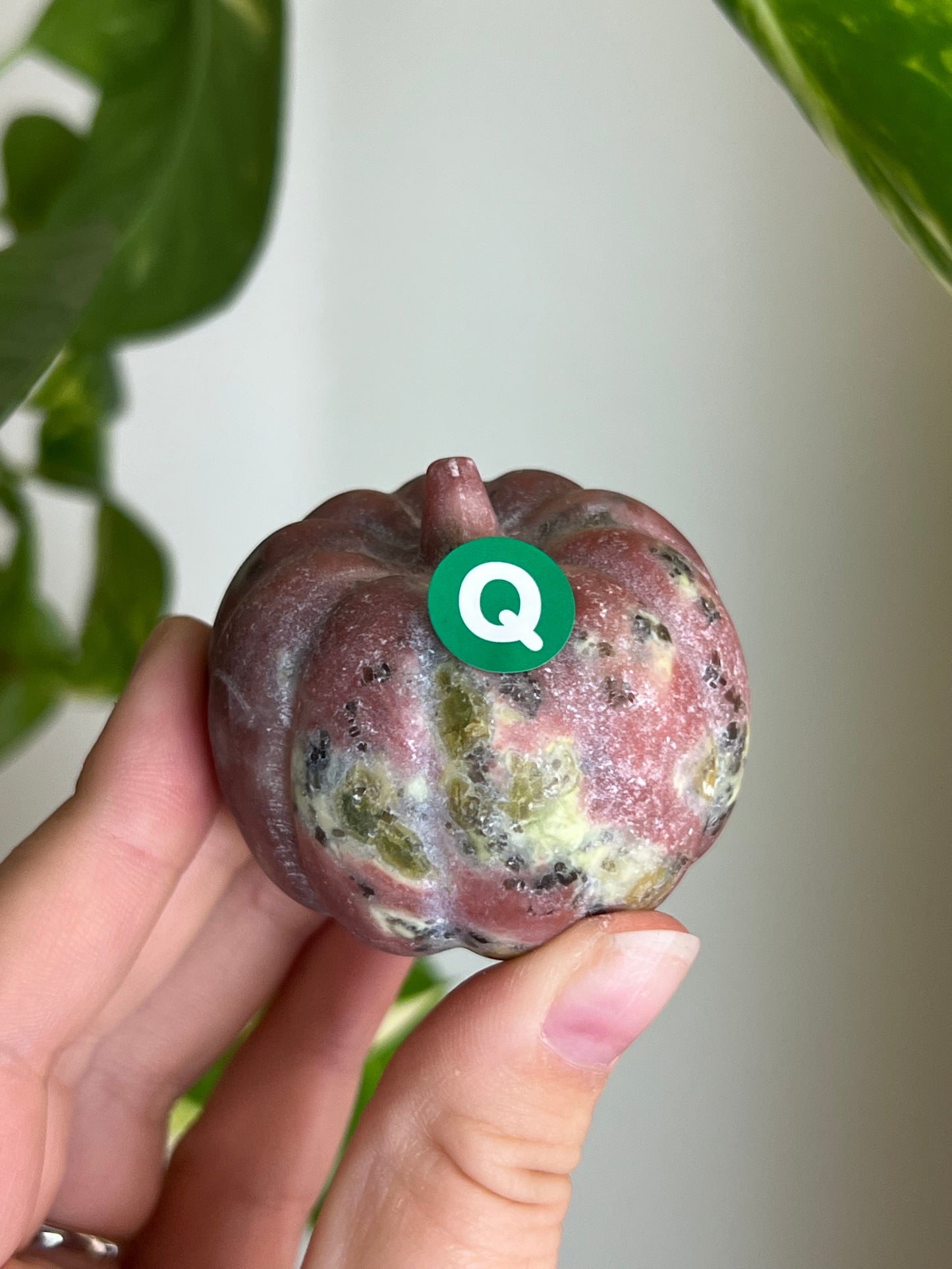 Plum Blossom Tourmaline x Serpentine Pumpkin - Q