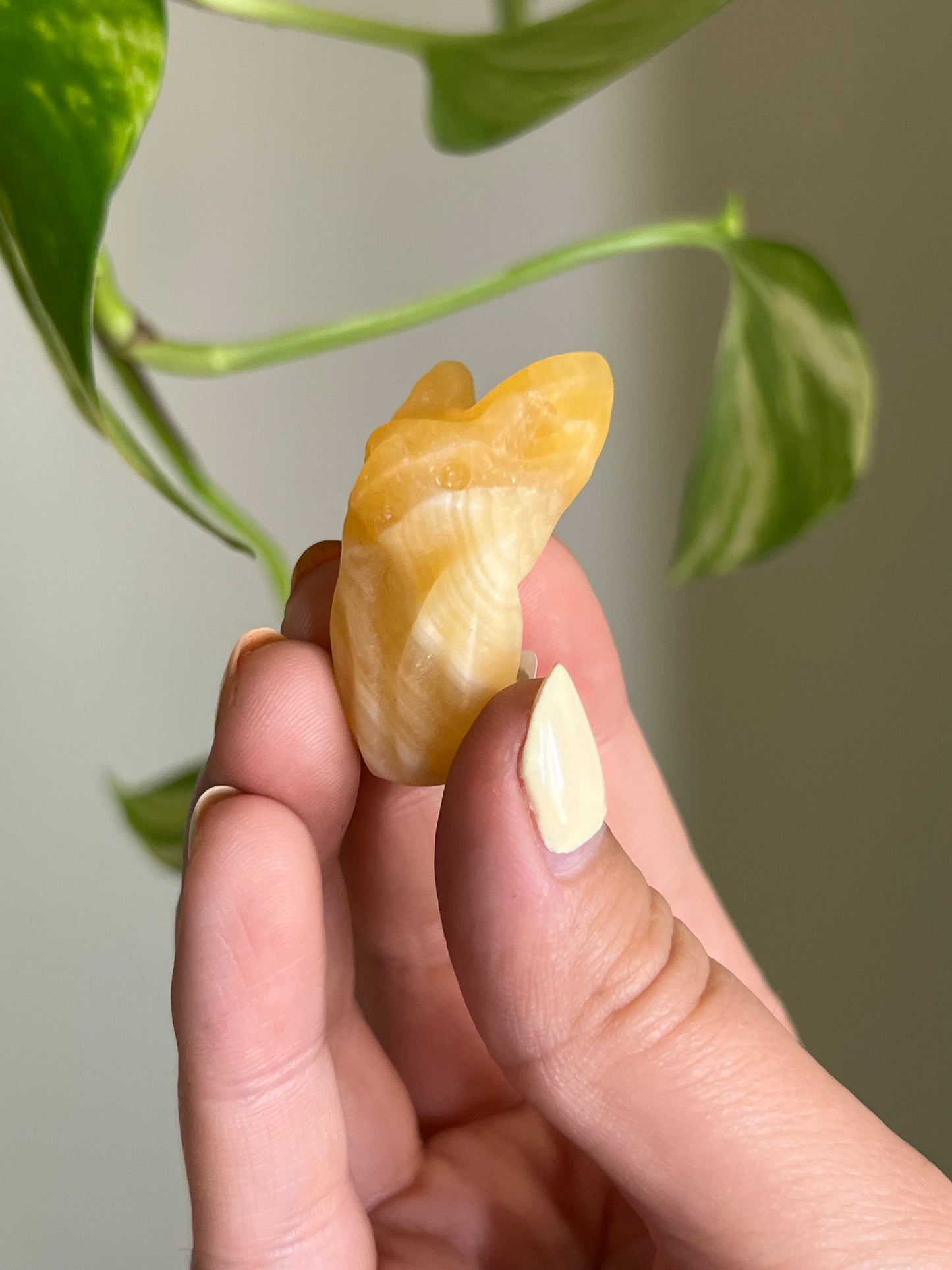 Orange Calcite Cozy Bat
