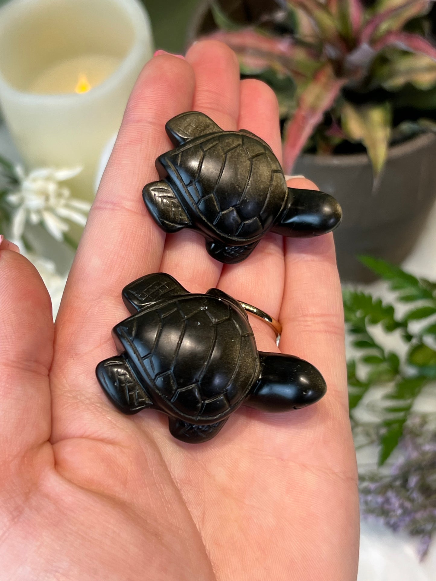 Gold Sheen Obsidian Sea Turtle