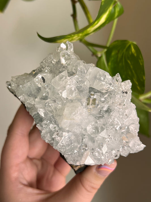 Apophyllite Cluster - I