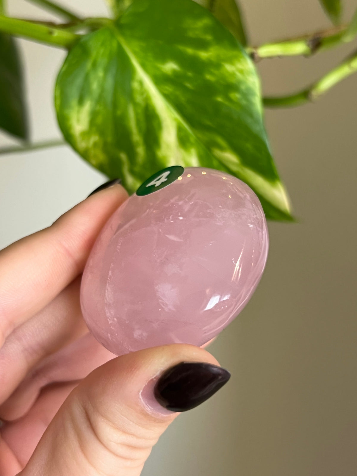Rose Quartz Palm Stone - 4