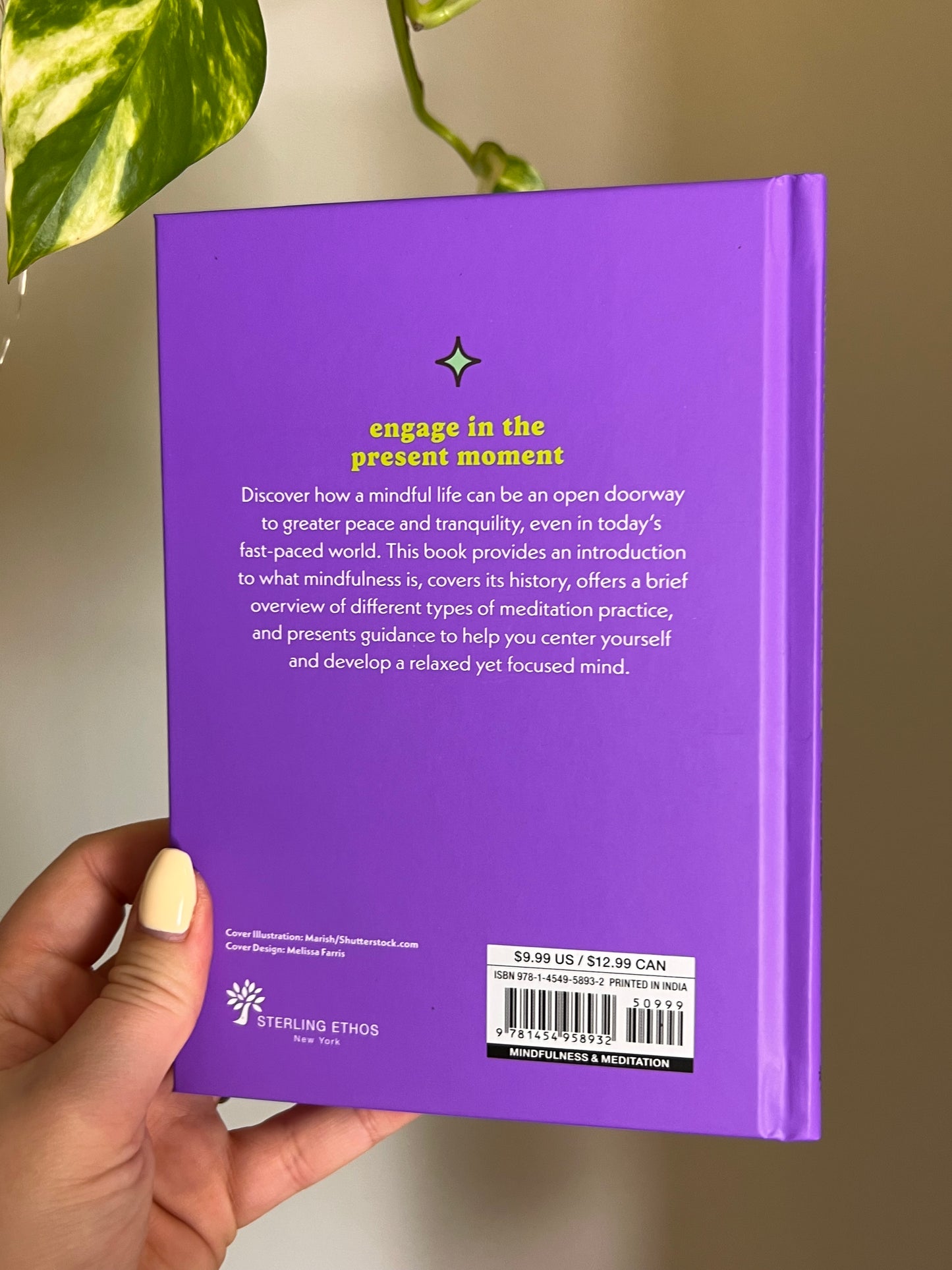 A Little Bit of Mindfulness Book