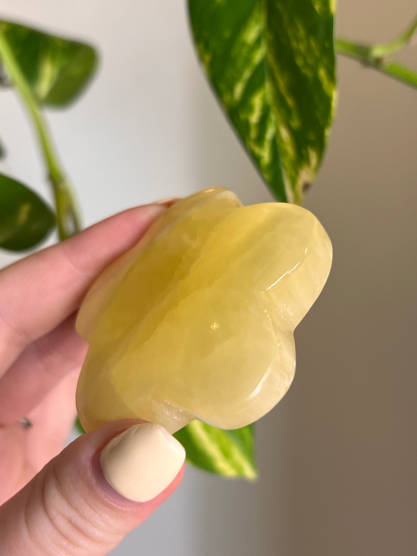 Lemon Calcite Groovy Flower - Intuitively Chosen 🍋