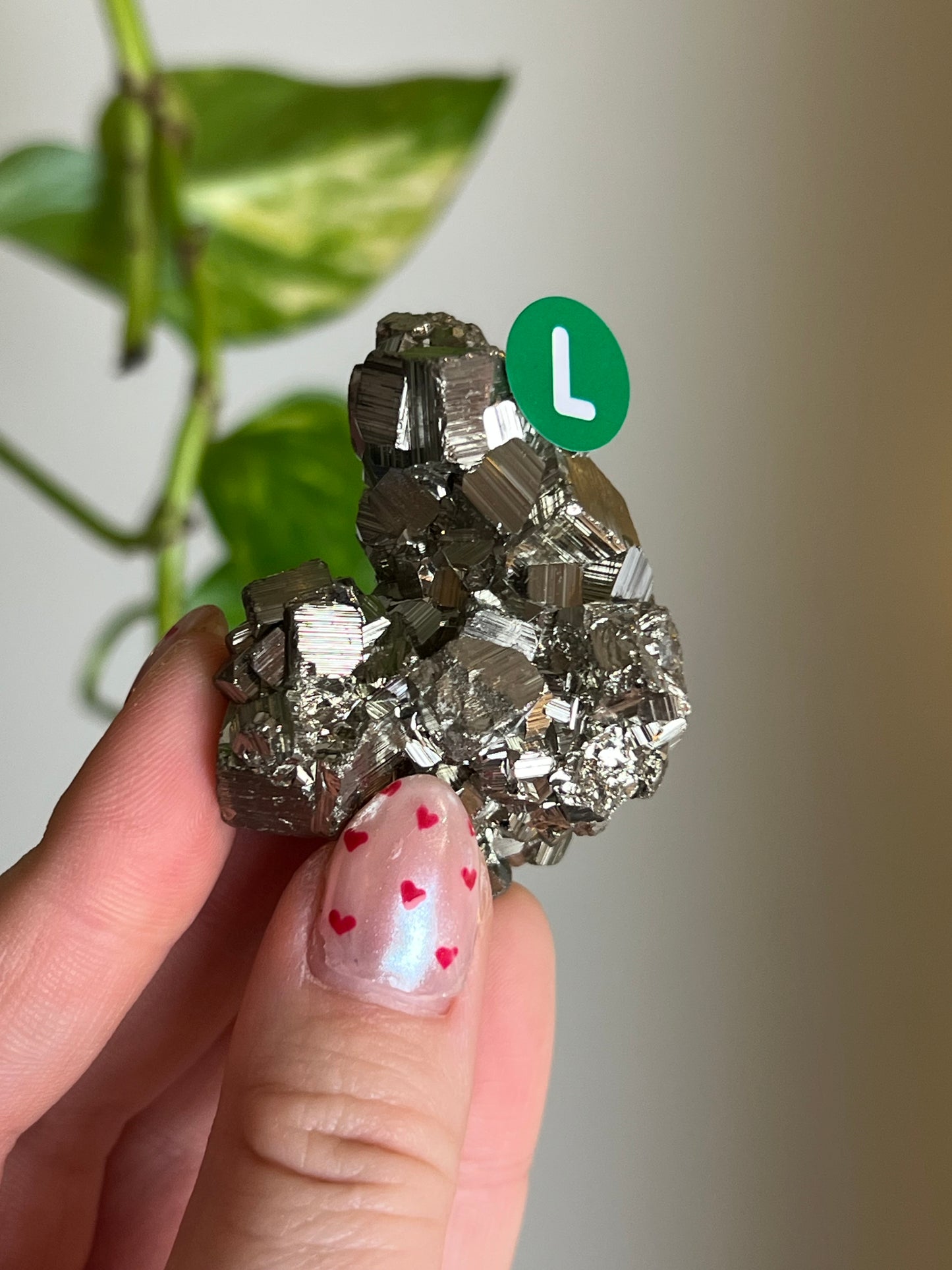 Pyrite Cluster - L