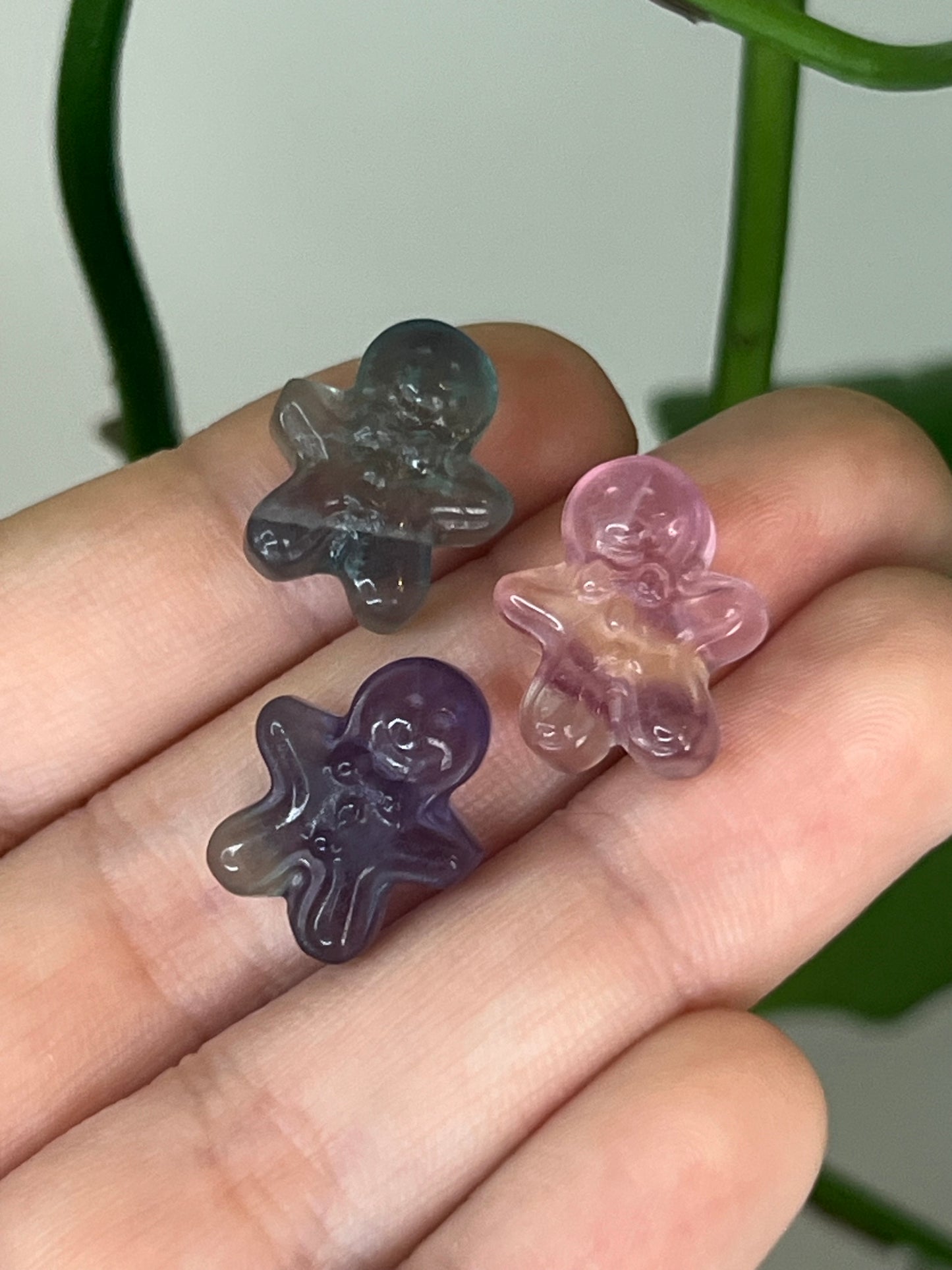 Mini Rainbow Fluorite - Gingerbread