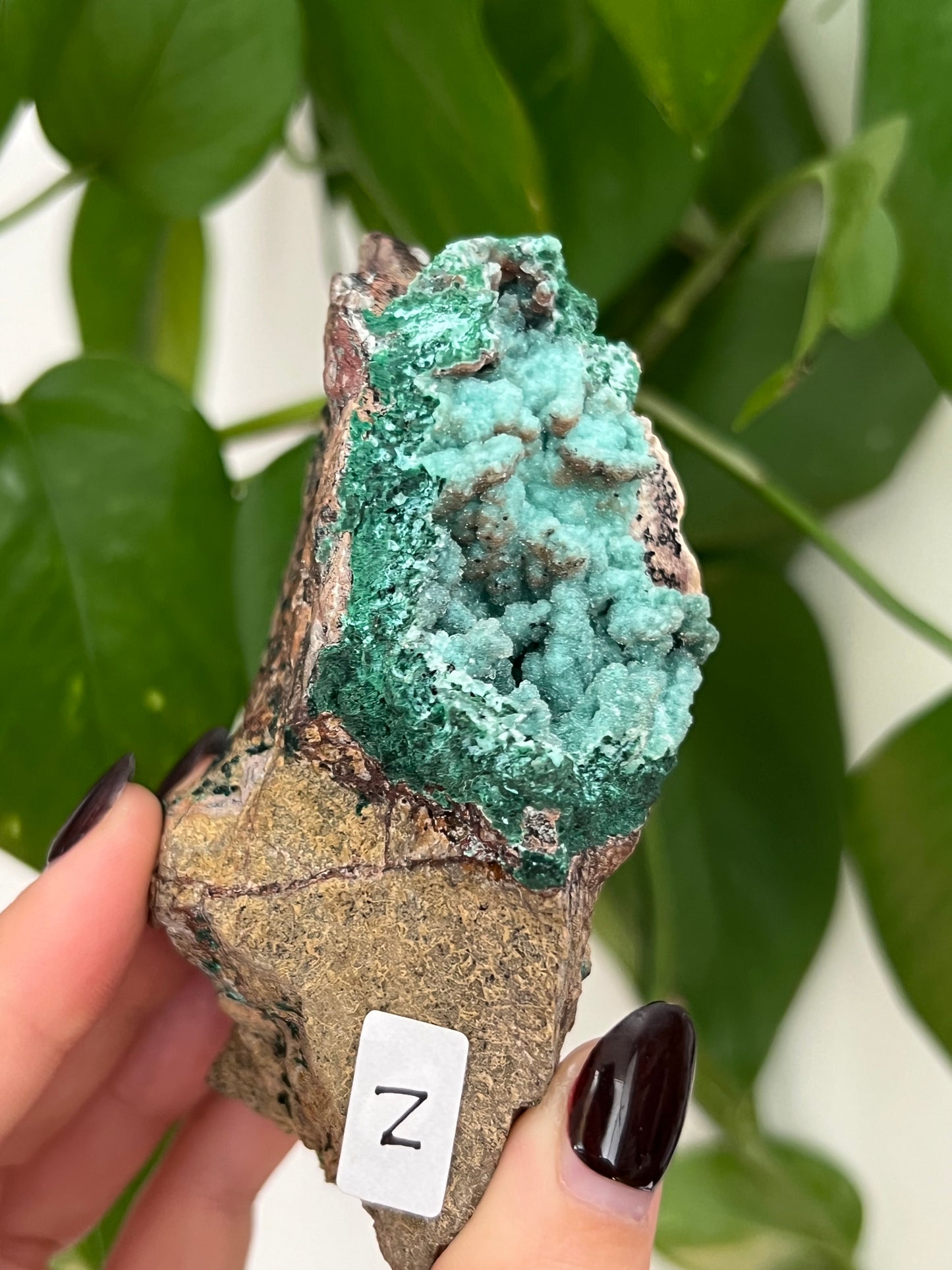 Botryoidal Malachite, Dolomite, Druzy Chrysocolla N