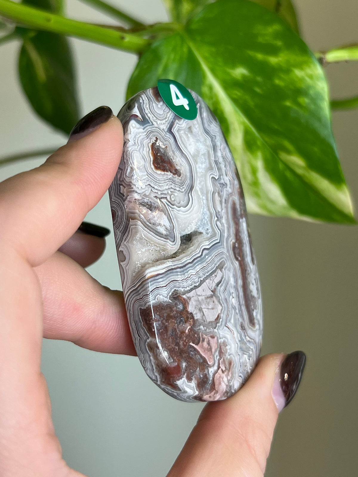 Druzy Mexican Lace Agate Palm Stone - 4