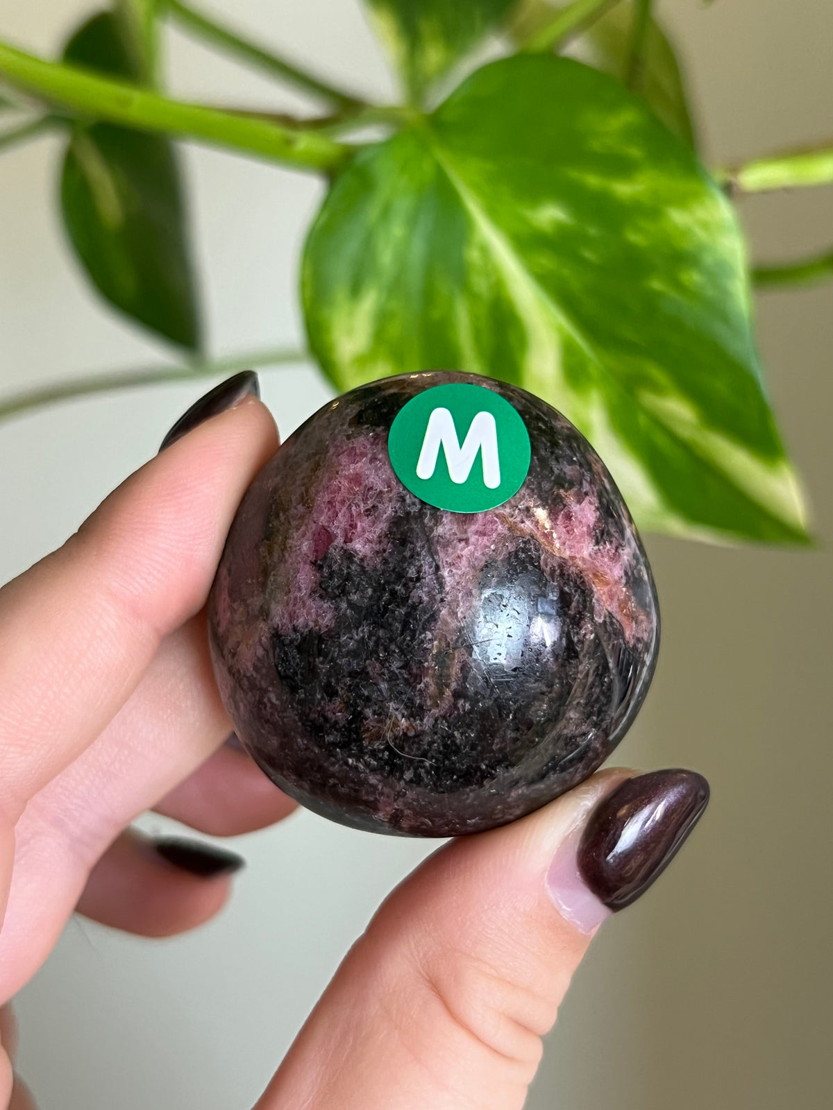 Madagascar Rhodonite Palm Stone - M