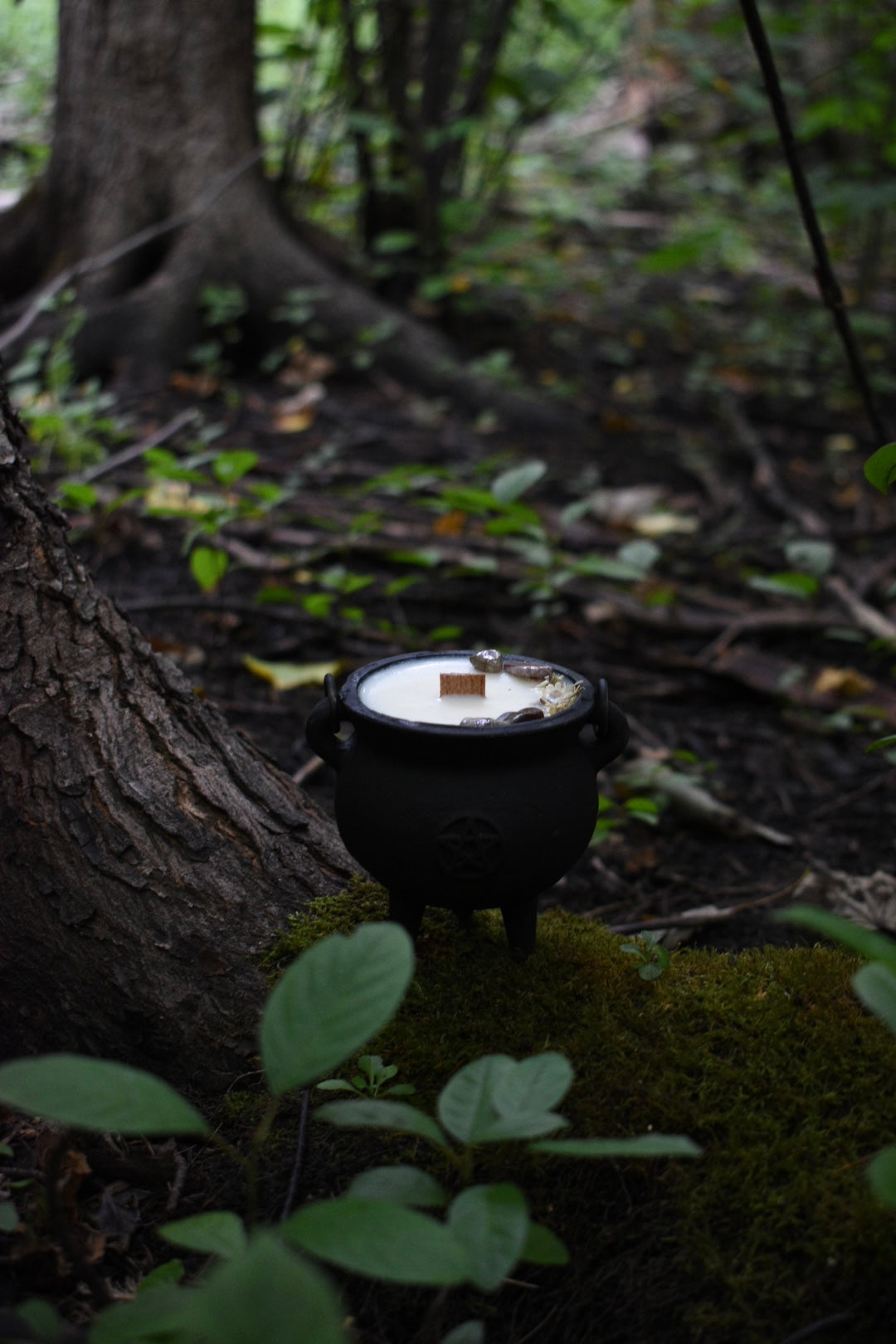 Autumnal Equinox Cauldron Candle | Green Tea + Warm Cedar 🍂