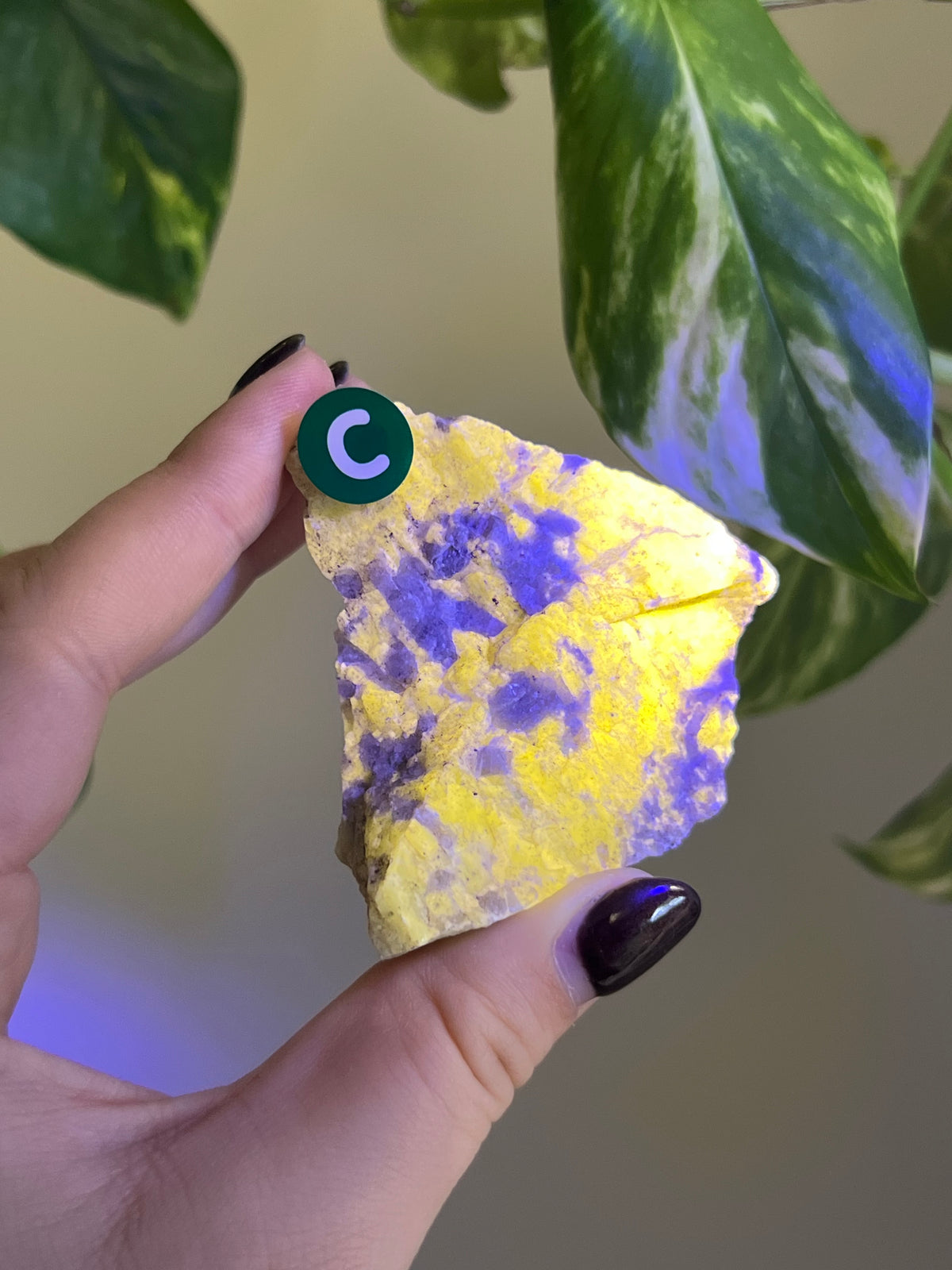 UV Reactive Meionite Scapolite Specimen - C