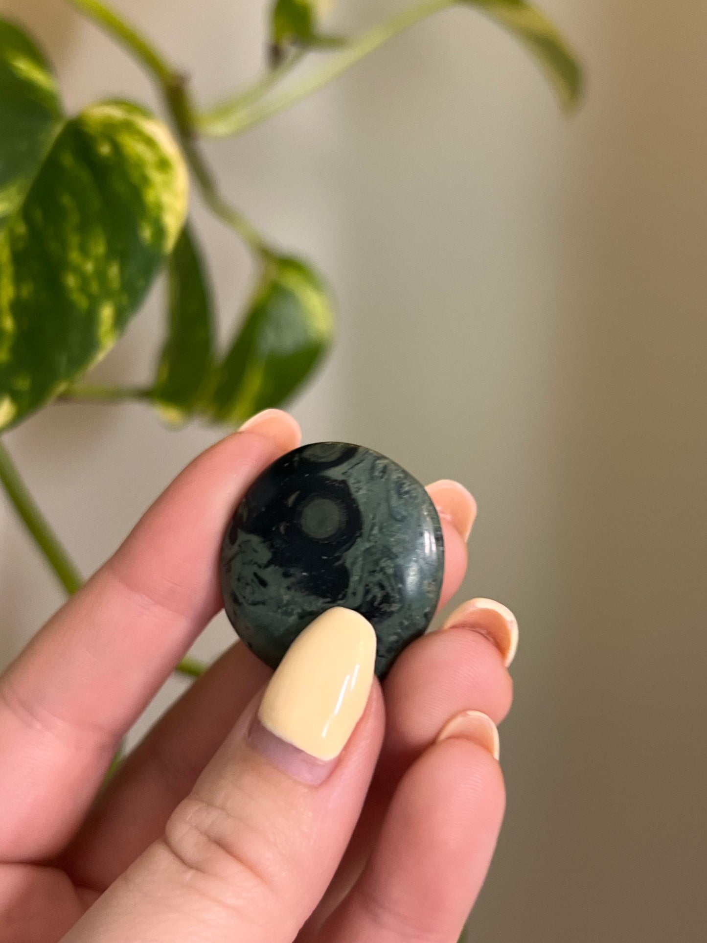 Kambaba Jasper Button
