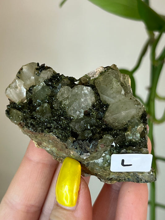 Forest Epidote Quartz Cluster - L