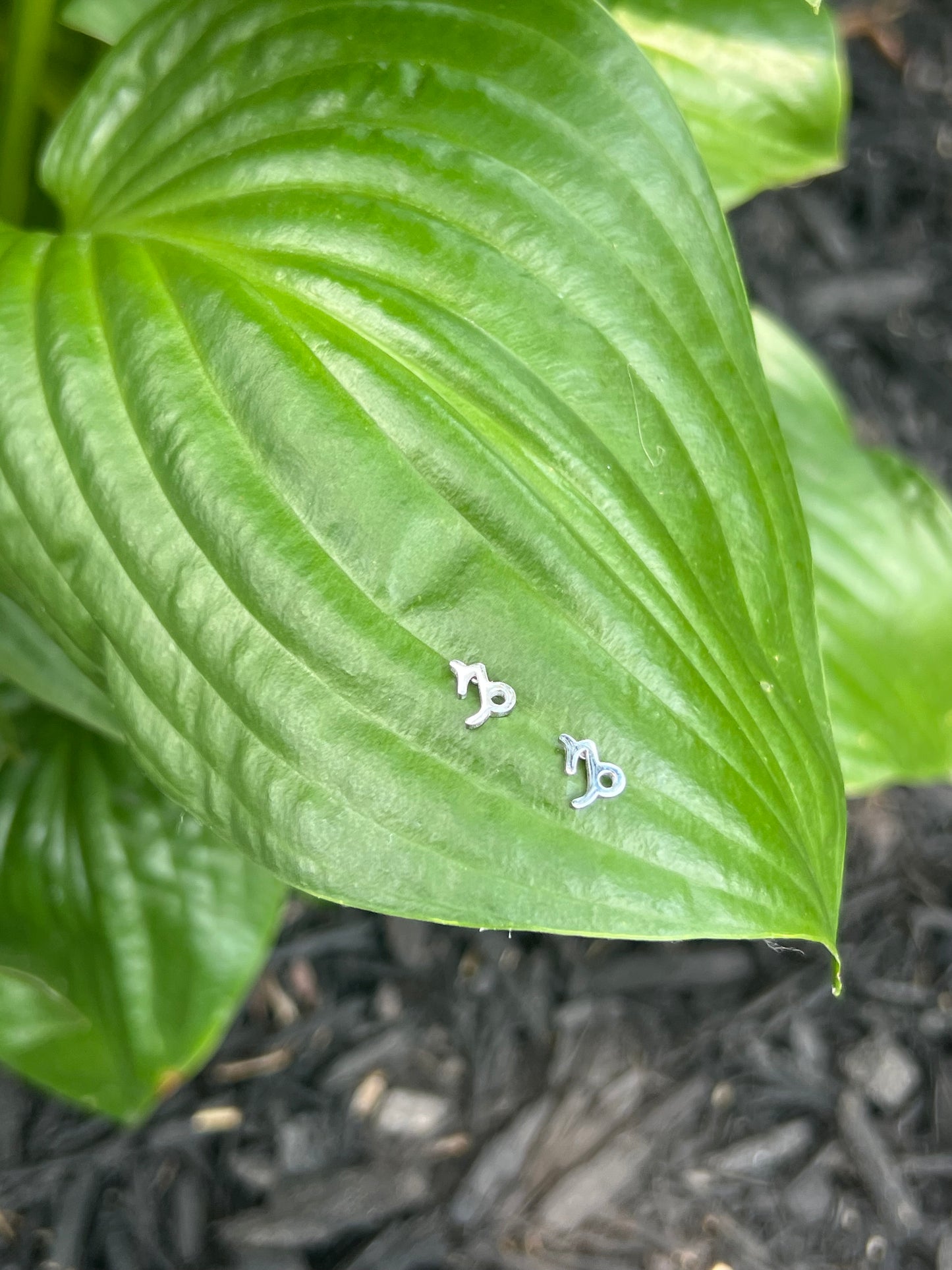 Capricorn Silver Zodiac Sign Studs ♑️
