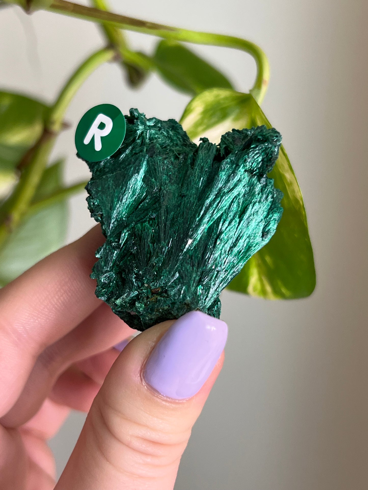 Fibrous Malachite - R
