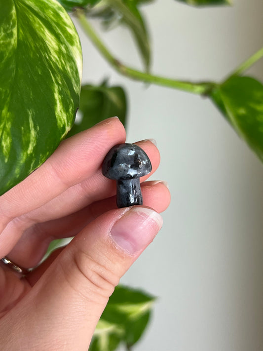 Flashy Larvikite Mini Mushie