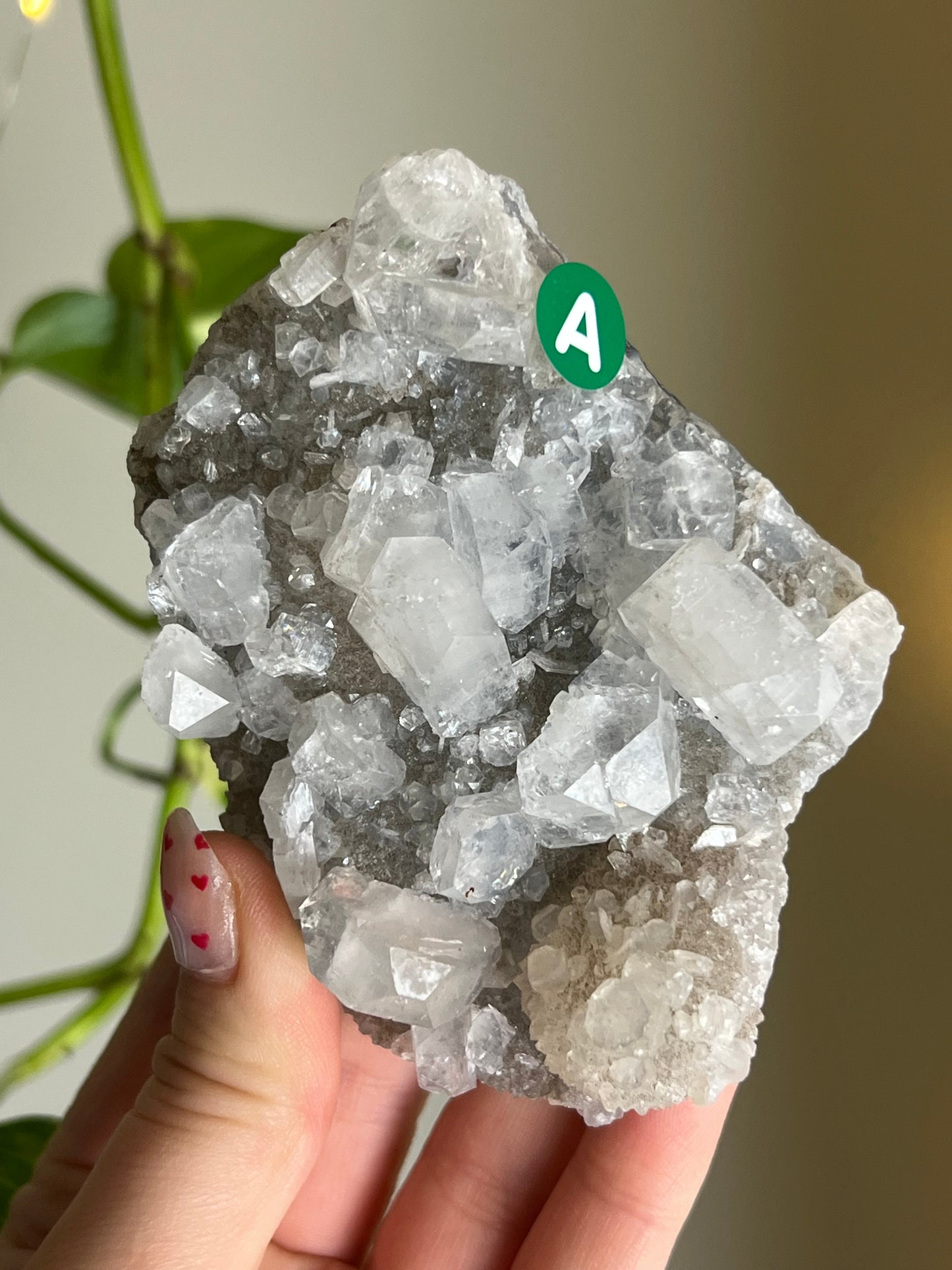 Apophyllite x Chalcedony Cluster - A