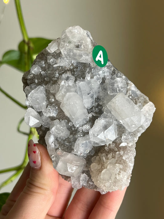 Apophyllite x Chalcedony Cluster - A