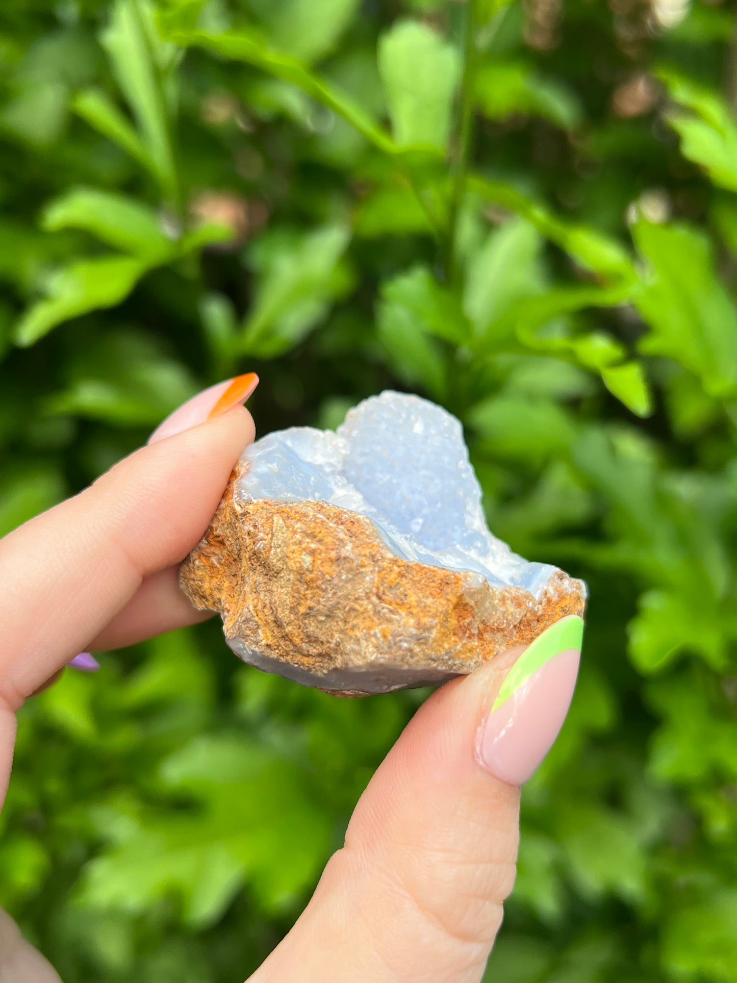 Druzy Blue Lace Agate Geode - A