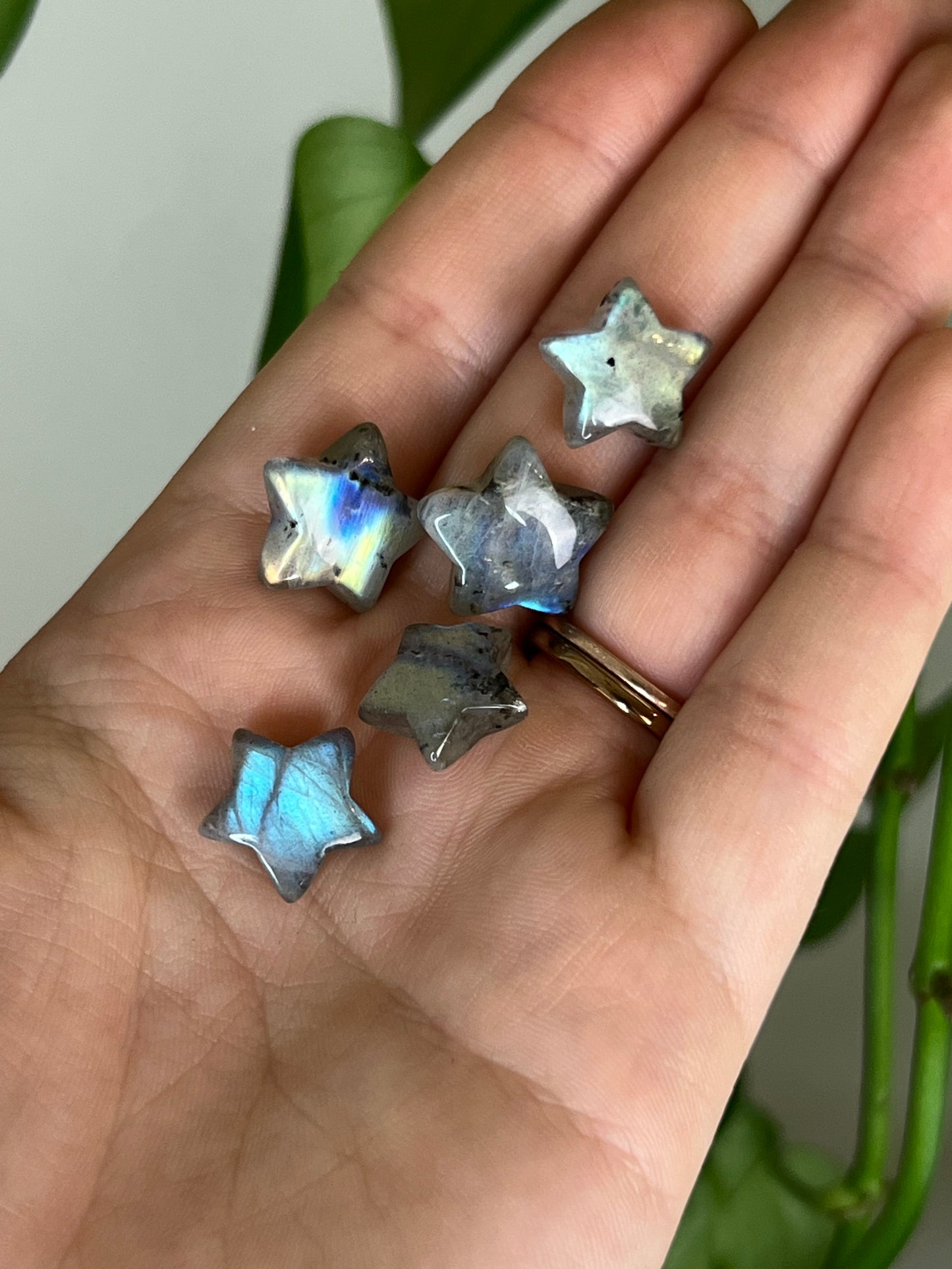 Flashy Labradorite Mini Star