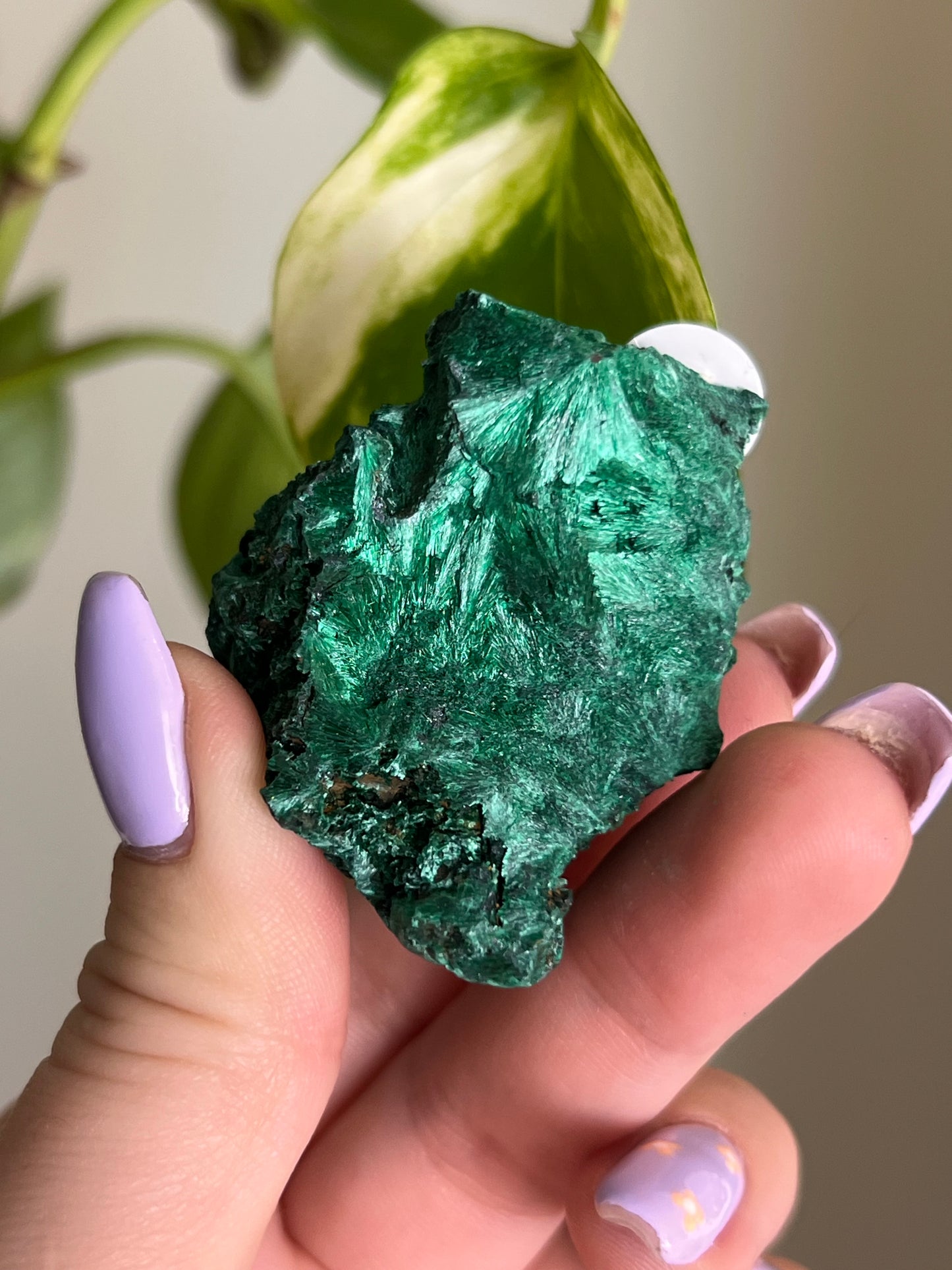 Fibrous Malachite - G