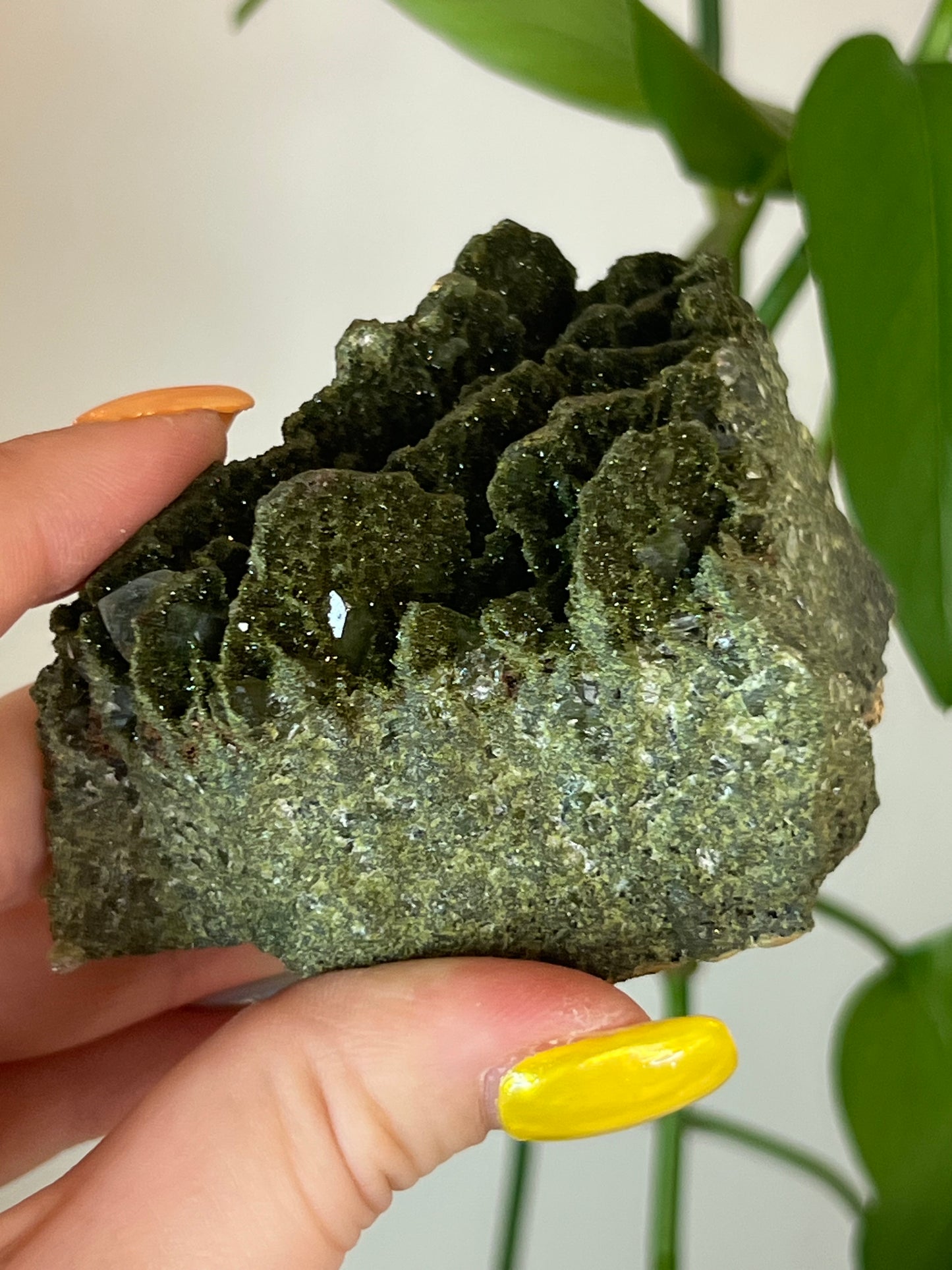 Forest Epidote Quartz Cluster - XLarge