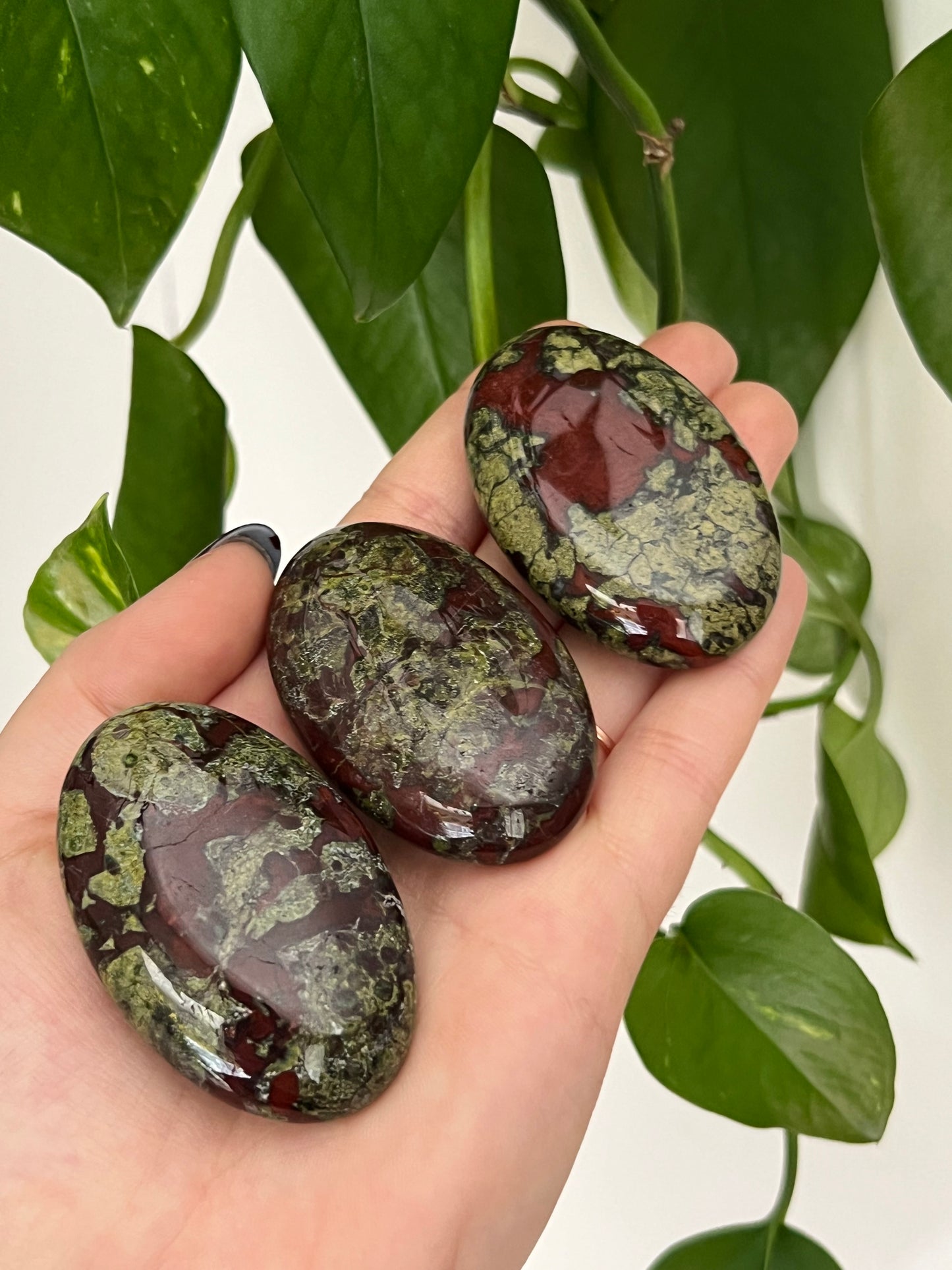 Dragons Blood Jasper Palm Stone