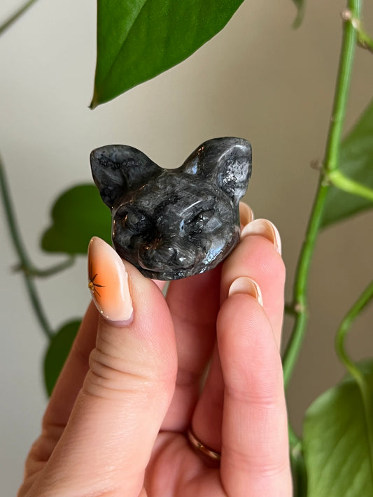 Larvikite Cat Head